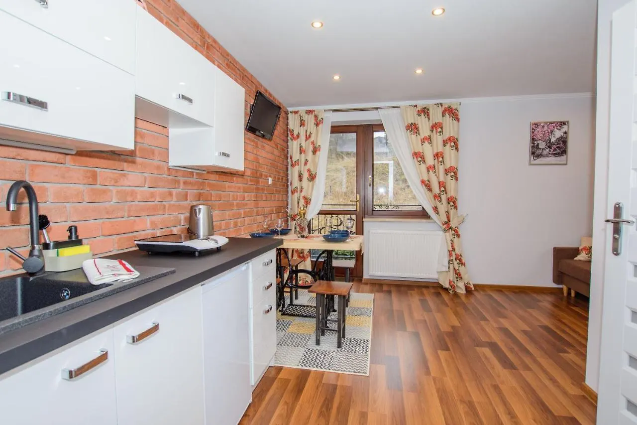 Апартаменты Apartamenty Na Galicowce Закопане